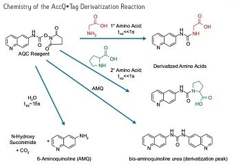 AccQ•Tag Derivitization Chemistry