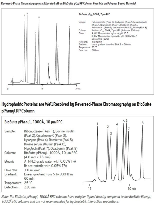 BioSuite pC18 and pPhenyl Reversed-Phase Columns 