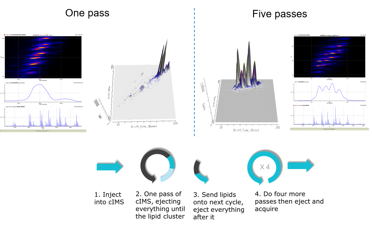 Single-pass versus multi-pass, demonstrating how high-resolution cyclic ion mobility mass spectrometry can be used to reveal different isomeric species not observed by mass spectrometry alone.