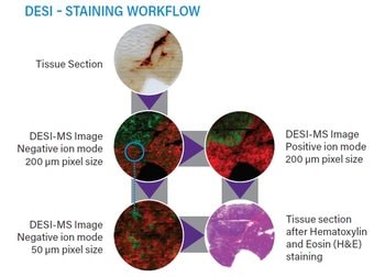Repeat analysis of the same sample using DESI imaging under different analytical conditions followed by histology staining, highlighting the ability to obtain maximum information from the minimum amount of sample.