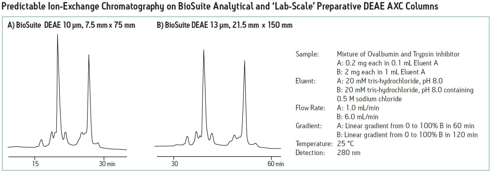 Predictable Ion-Exchange Chromotography on BioSuite Analytical and 'Lab Scale' Preparative DEAE AXC Columns