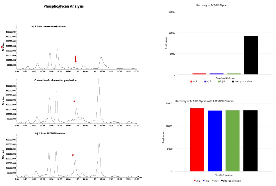 Phosphoglyan analysis