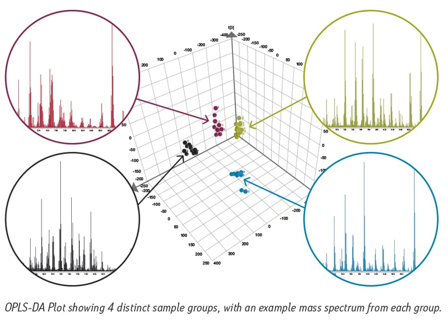 Samples are grouped in an objective and unbiased way based on multivariate statistical analysis