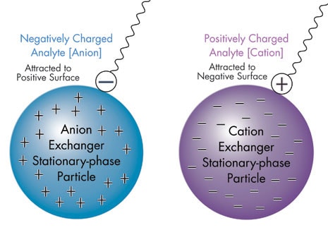 Ion-Exchange Chromatography