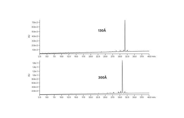 Figure 10: Effect of pore size on the chromatography of the hydrophobic peptide