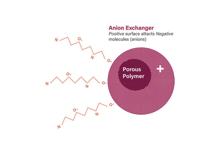 Figure 5: Attraction of peptide to anion exchange column packing