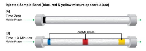 analyte bands