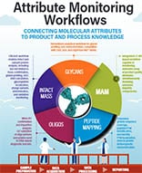 Attribute Monitoring Workflows - Infographic