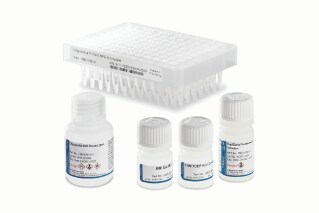 OligoWorks SPE kits are optimized for efficient oligonucleotide extraction from biomatrices and sensitive, repeatable quantitative LC-MS performance across a diverse range of oligonucleotide therapeutics.  