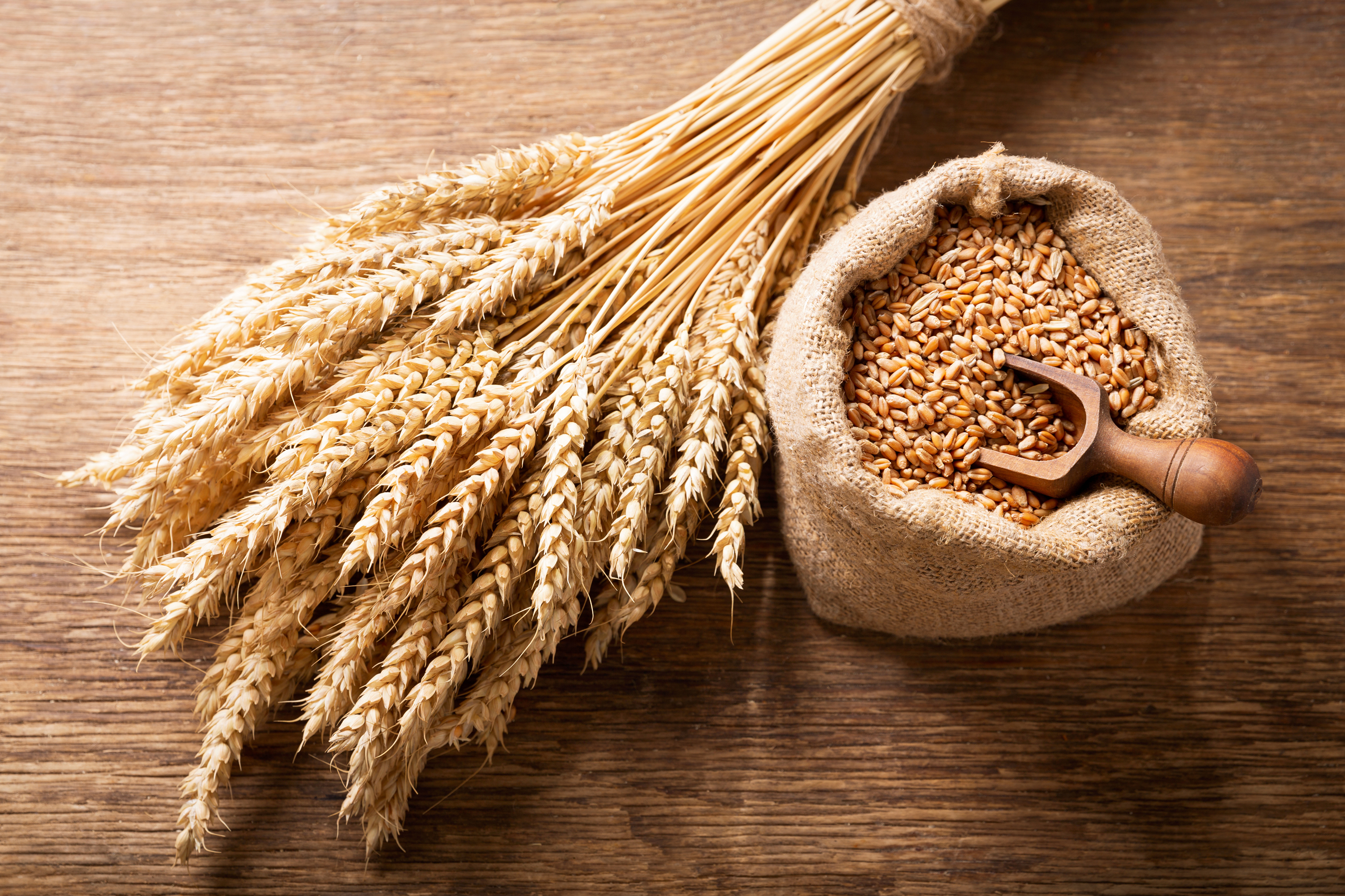 Wheat ears and grains on a wooden table