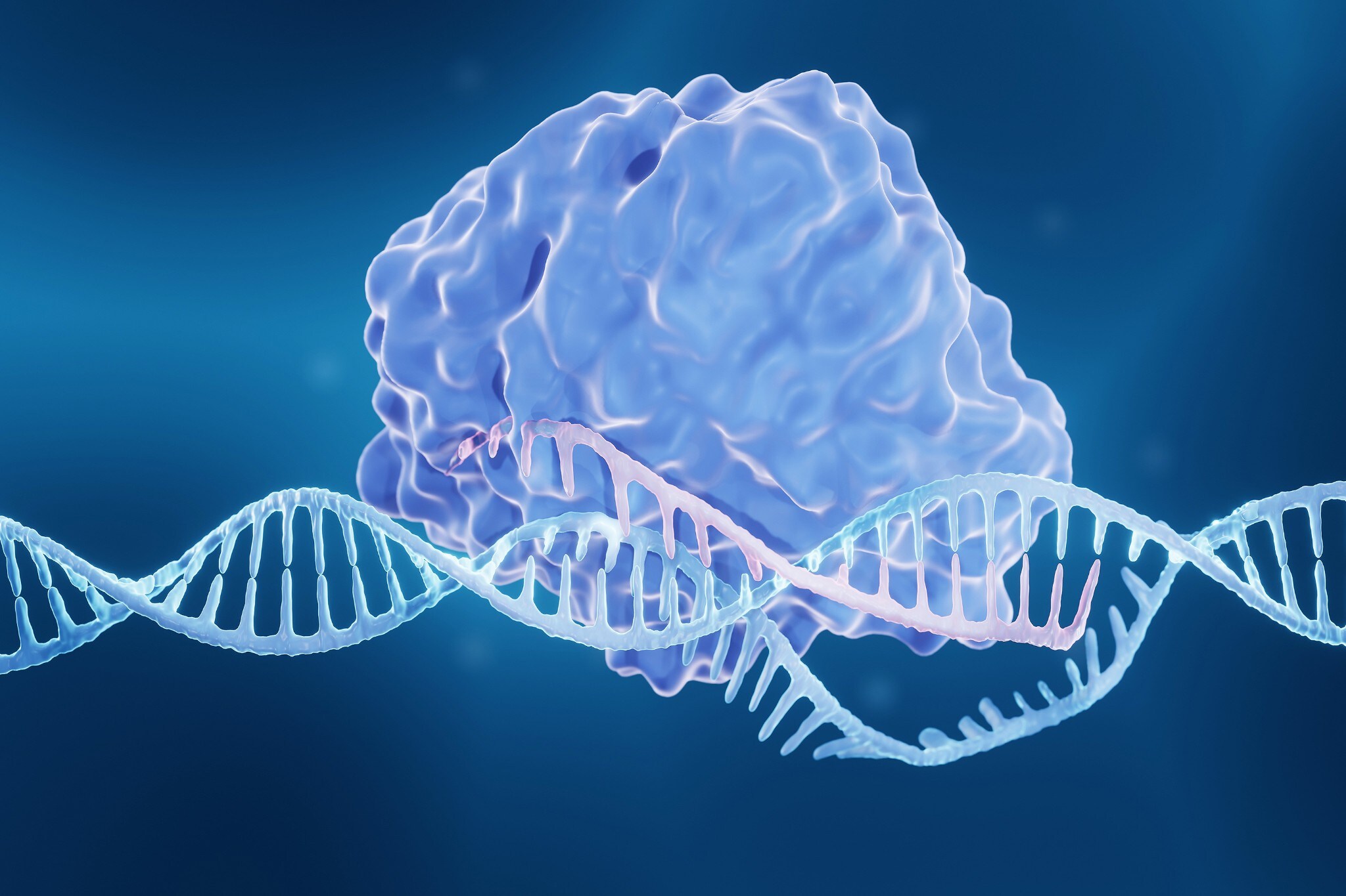 3D rendering of a Cas9 protein and single guide RNA acting on a target DNA molecule.