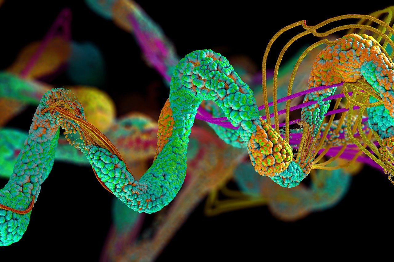 Achieve unique molecular insights into structural biology and elucidate the gas phase structure of protein macromolecular complexes with Waters structural biology solutions. 