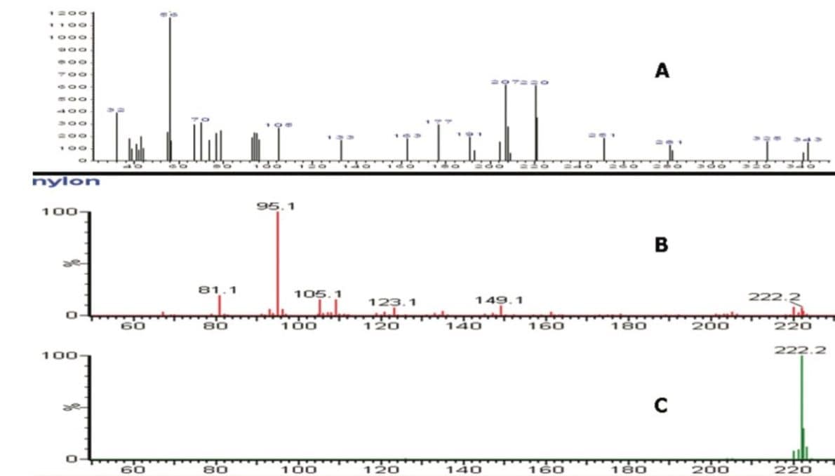 A = EI spectrum, B = high energy/fragmentation APGC spectrum, C = low energy/molecular ion APGC spectrum.