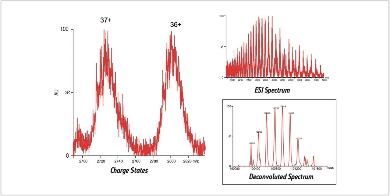 ESI mass spectrum of fragment in a recombinant humanized monoclonal antibody