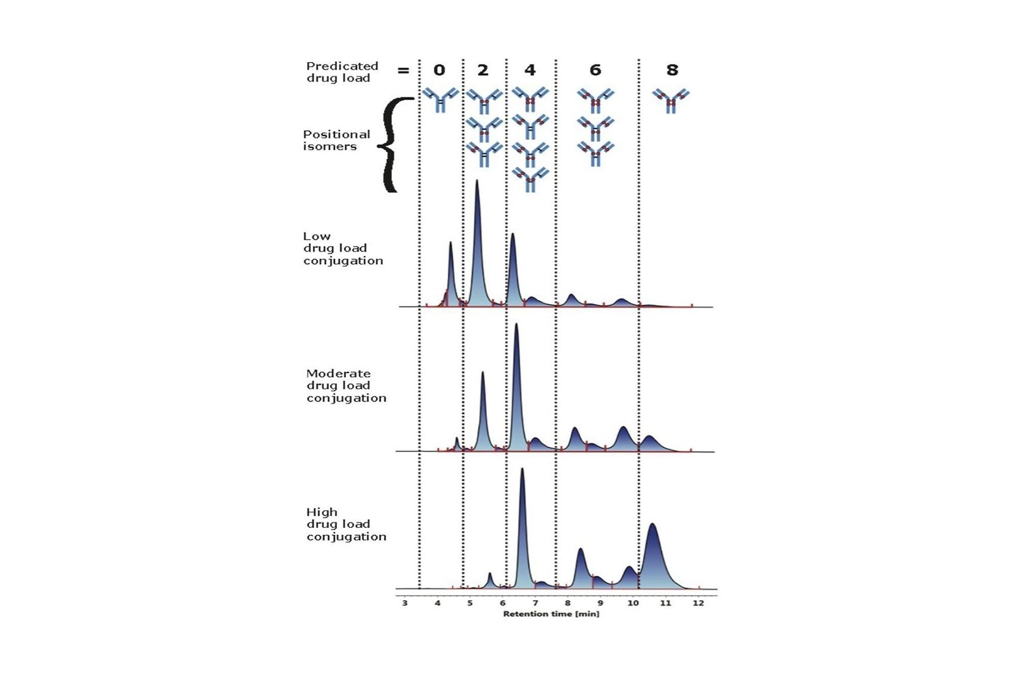 Cysteine conjugated ADC analysis using HIC. Drug distribution was determined for three different cysteine-conjugated ADC samples with increasing drug load