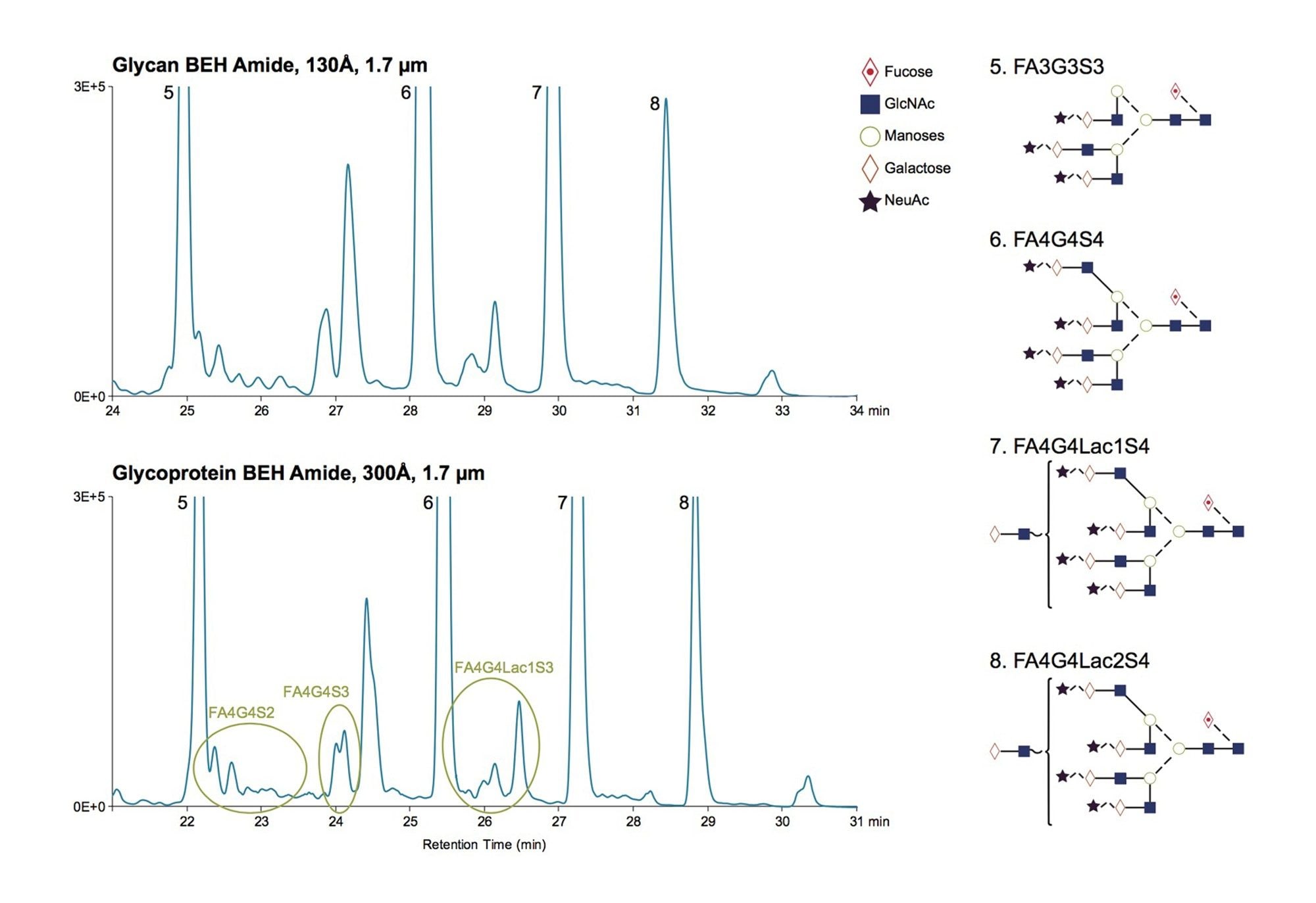 Glycan BEH Amide vs Glycoprotein BEH Amide