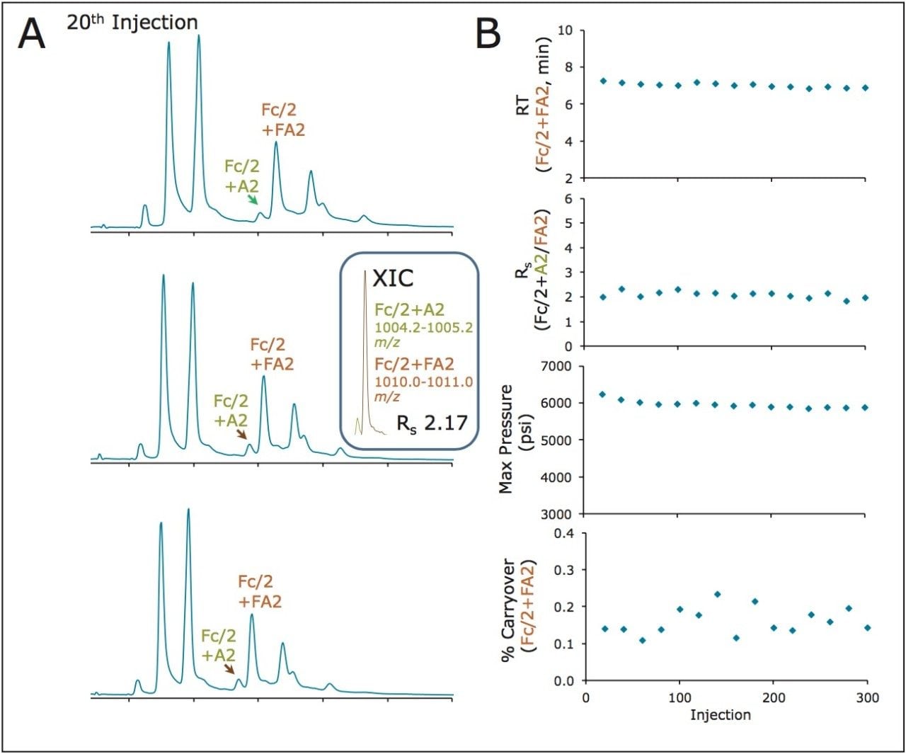 Lifetime testing of an ACQUITY UPLC Glycoprotein BEH Amide