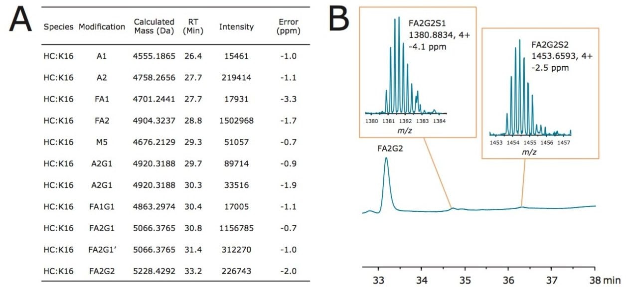 Mass spectrometric data supporting trastuzumab  Lys-C glycopeptide identifications. 