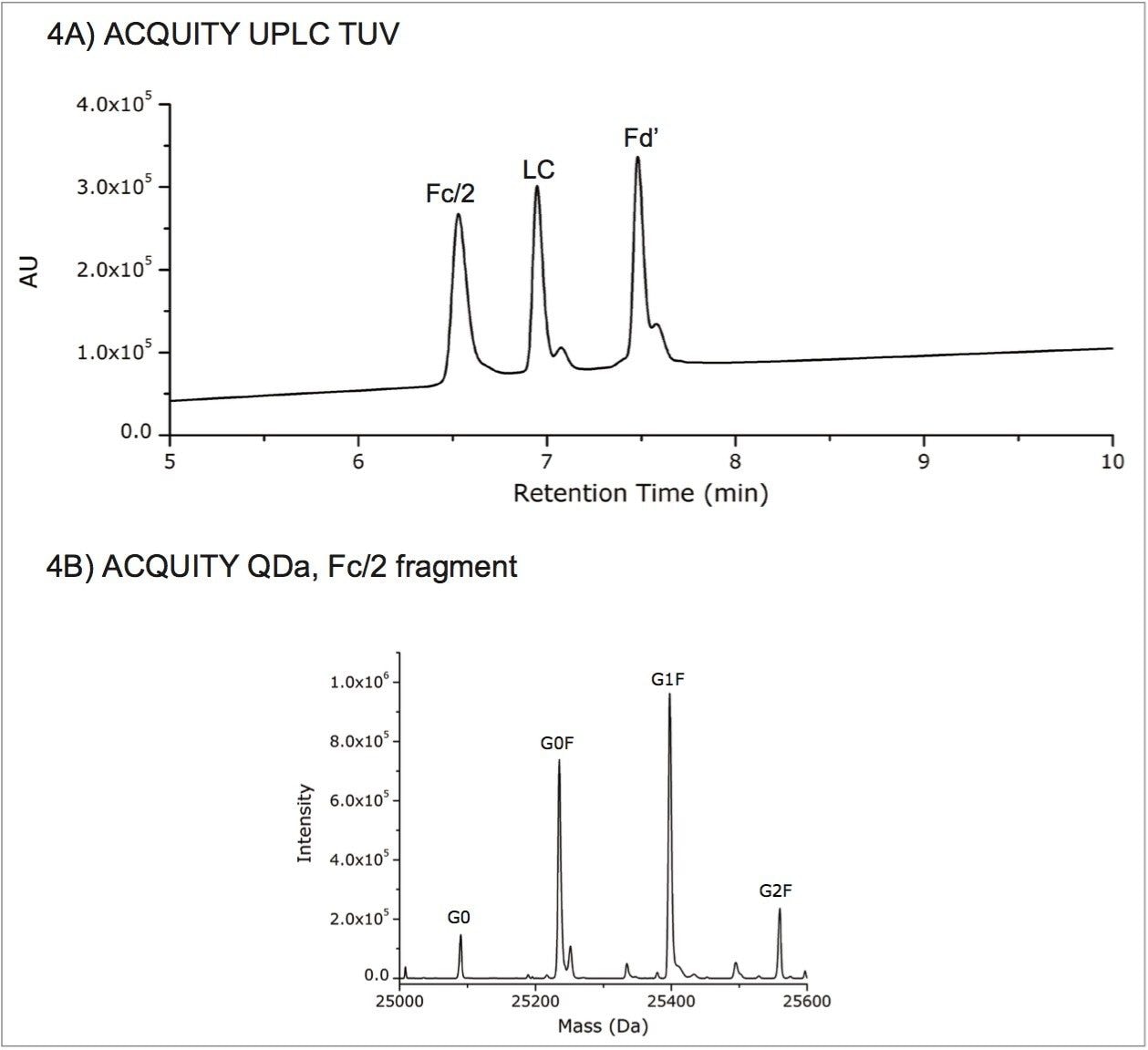 IdeS digest and reduction of trastuzumab