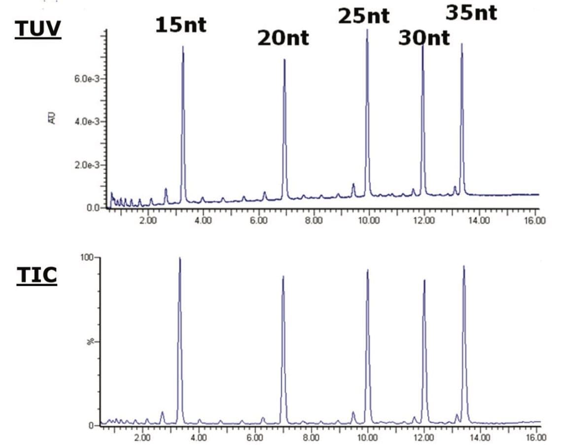 In-line orthogonal TUV and TIC chromatograms of the Waters MassPREP Oligonucleotide Separation Technology Standard, containing a mixture of five  polyT oligonucleotides from 15 to 35 nt, with expected synthesis-related impurities.