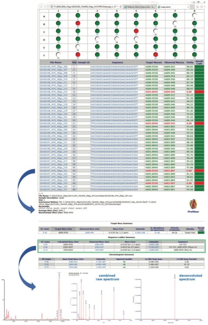 The top image is a high-level summary of batch-processed, experimental results using ProMass HR with MassLynx. Also shown, successive drill-down results for an individual sample, accessed through embedded HTML hyperlinks.