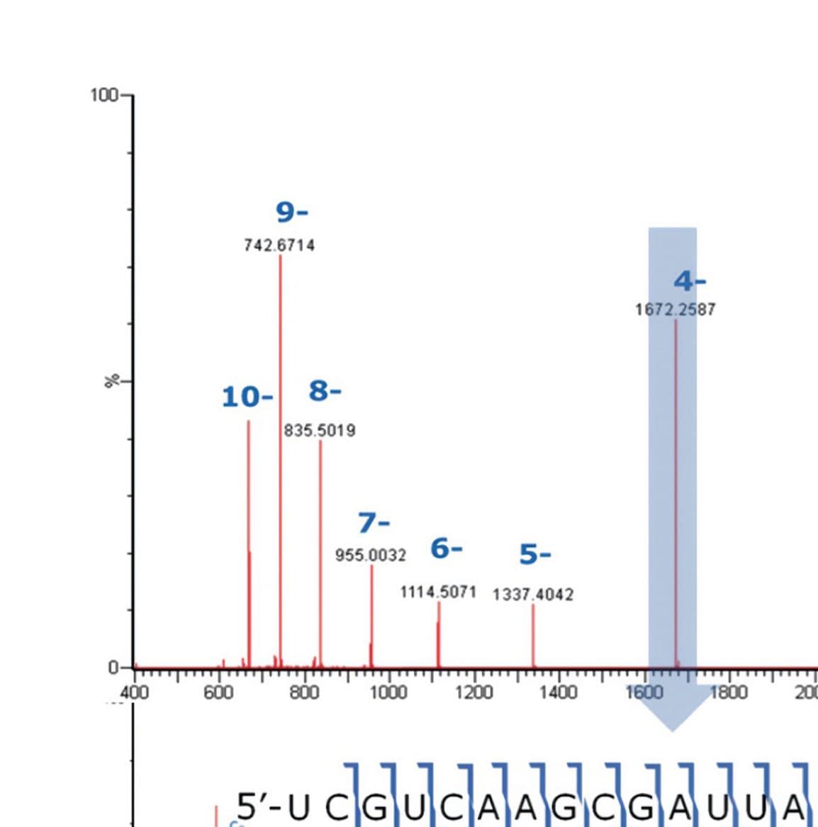 LC-MS/MS full ladder sequence confirmation for the ssRNA sequence of 5'-UCGUCAAGCGAUUACAAGGTT-3' was achieved. 