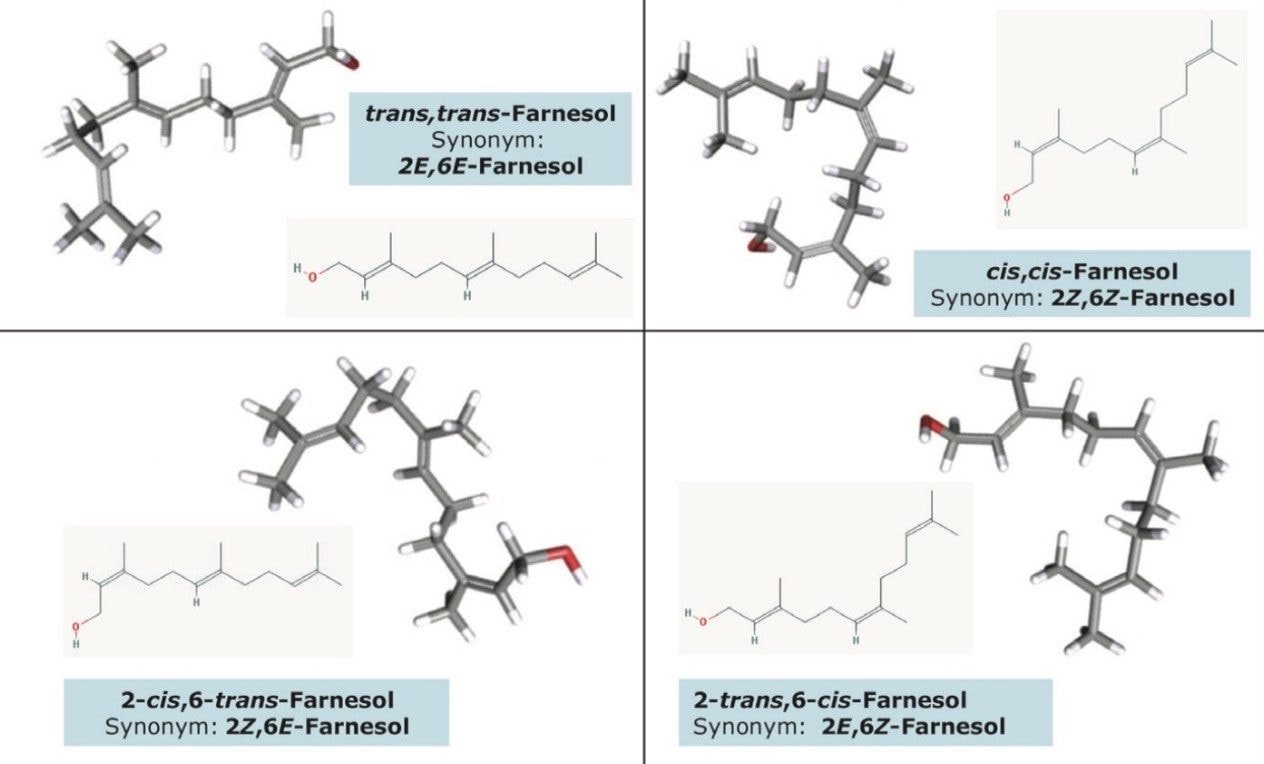 Four isomers of farnesol. 