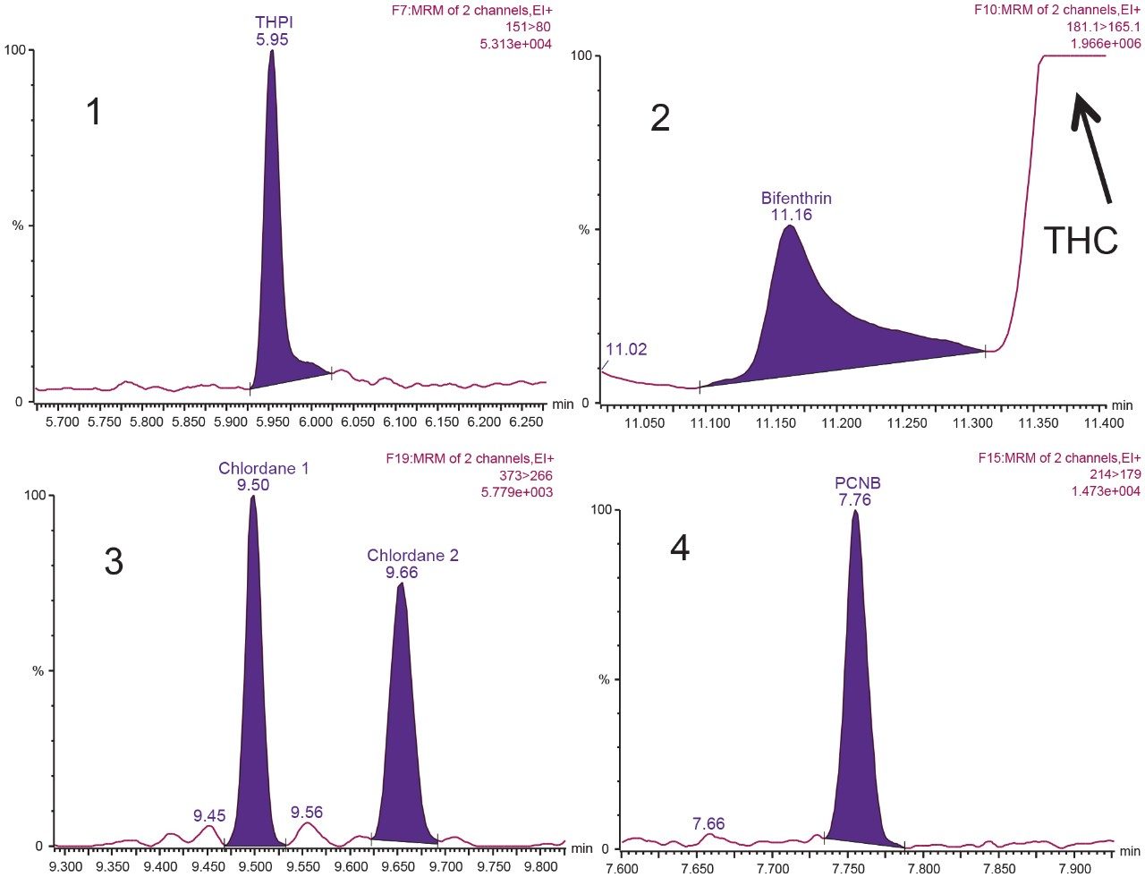 Representative MRM chromatograms for (1) THPI, captan degradation product; (2) bifenthrin; (3) trans and cis chlordane; (4) PCNB spiked at a level of 0.1 µg/g in cannabis flower 0.7 µg/g for THPI) and extracted using the sample preparation protocol reported.