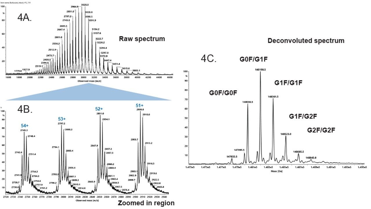 Intact mass spectrum from mobile phases with 0.1% FA.