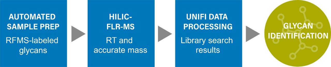 Figure 2. Glycan analysis workflow using the BioAccord System with UNIFI Scientific Information System. 