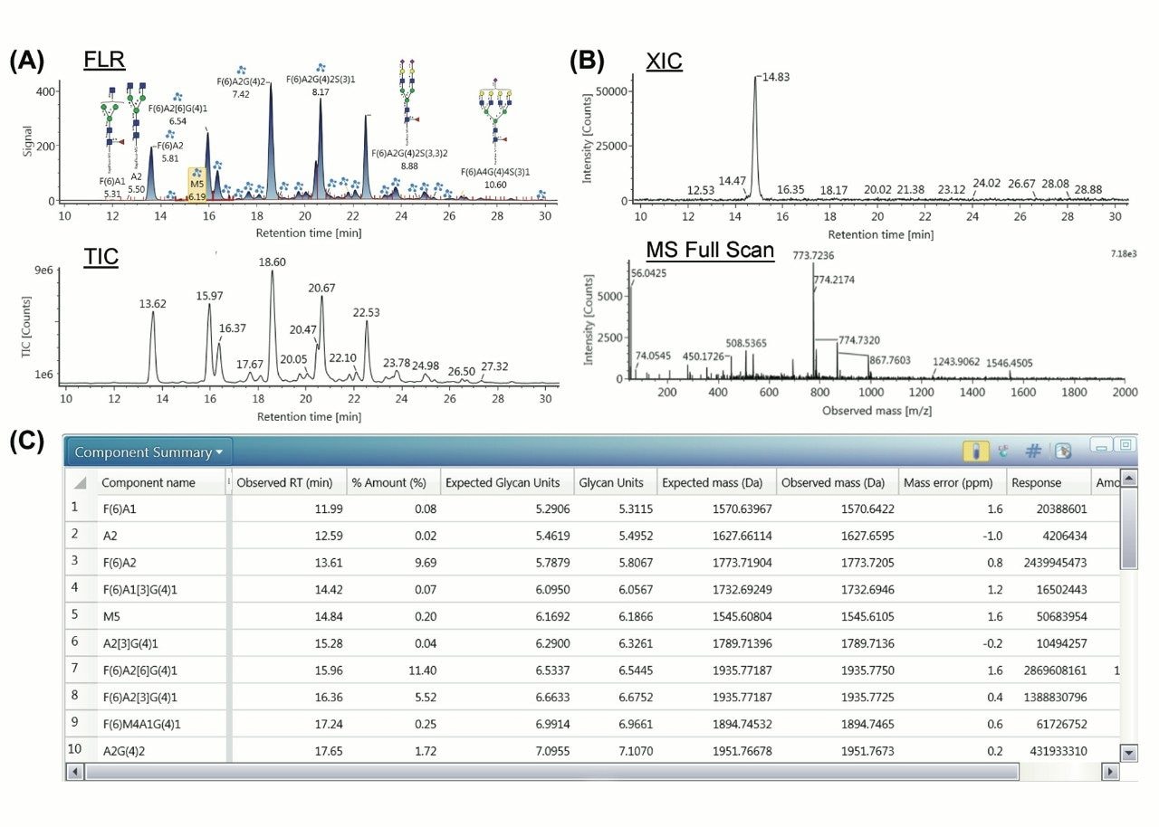 Analysis of N-linked glycans released from a fusion protein, abatacept.