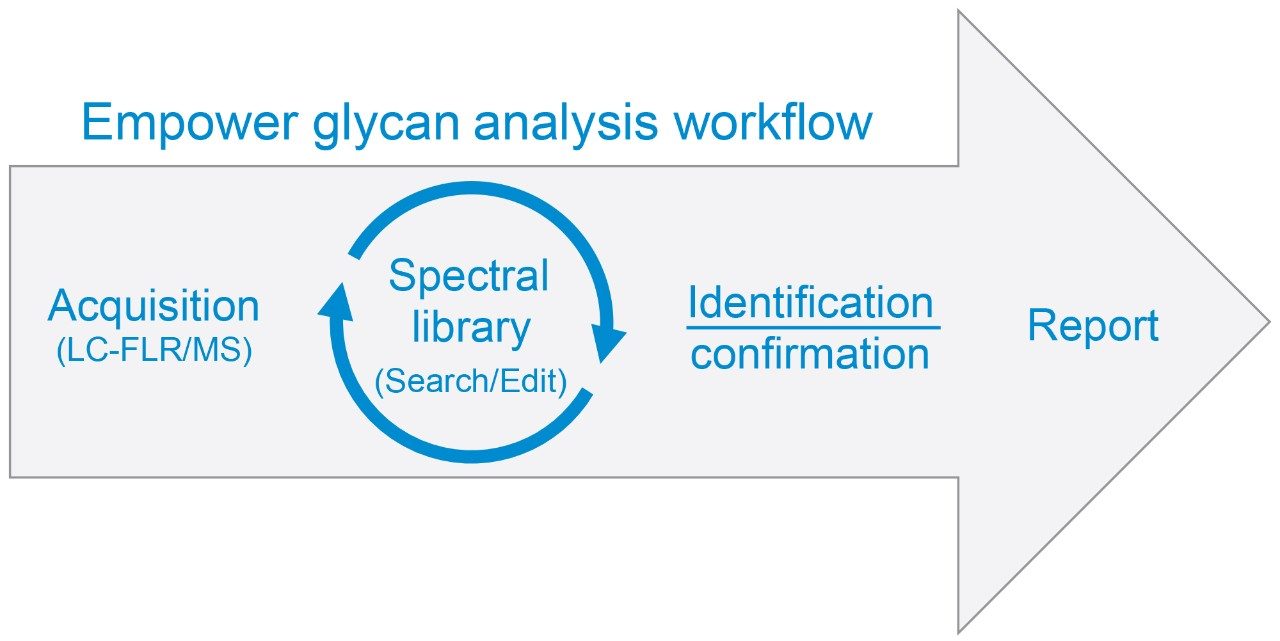 Workflow of using Empower spectral library for glycan analysis. 