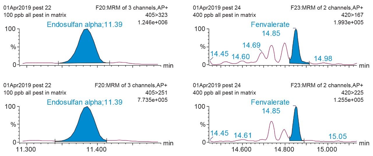 Representative MRM chromatograms showing the primary quantification and the secondary qualifier transition for endosulfan alpha (100 ppb) and fenvalerate at a level and 400 ppb (ng/g) in pesticide-free cannabis extracted using the sample preparation protocol reported.