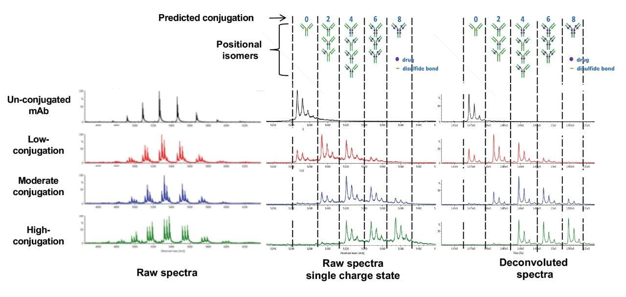 Combined raw spectra from multiple charge state envelop and the  combined raw spectra of an mAb with low, moderate, and high DAR of a cysteine-conjugated ADC.