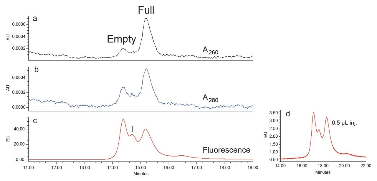 Separation of AAV8 empty and full capsid mix on a Protein-Pak Hi Res Q Column. 