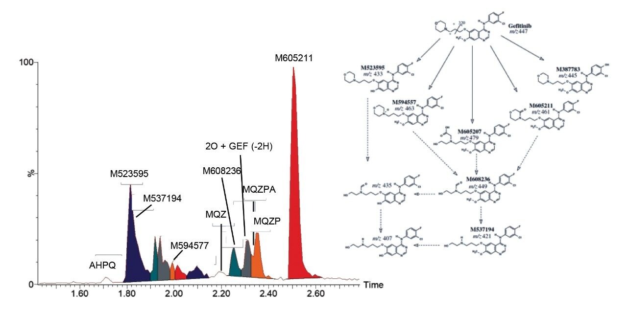 Extracted ion chromatograms.