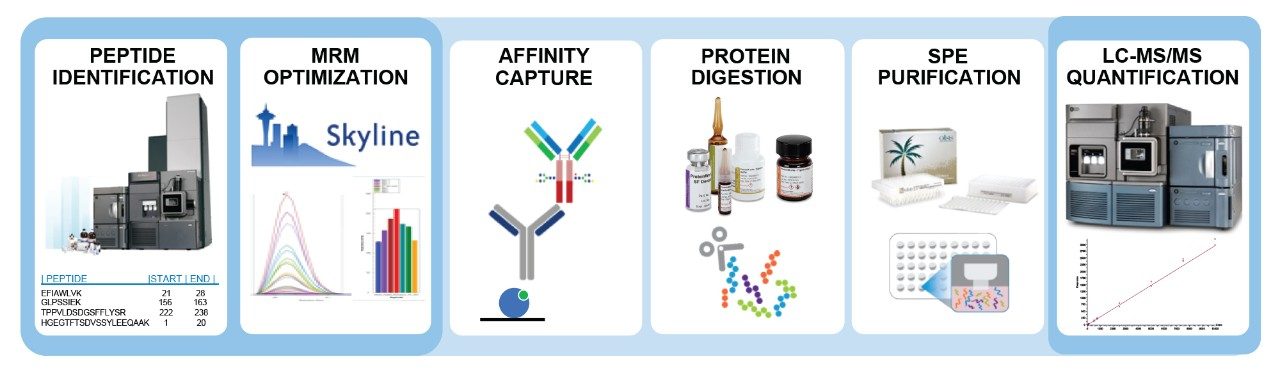 Quantitative assay development workflow