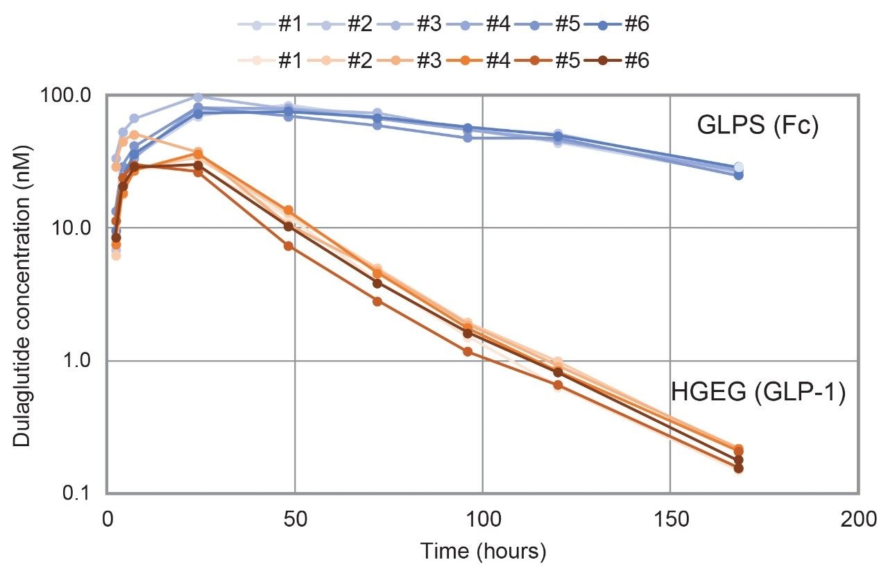 Pharmacokinetic profile