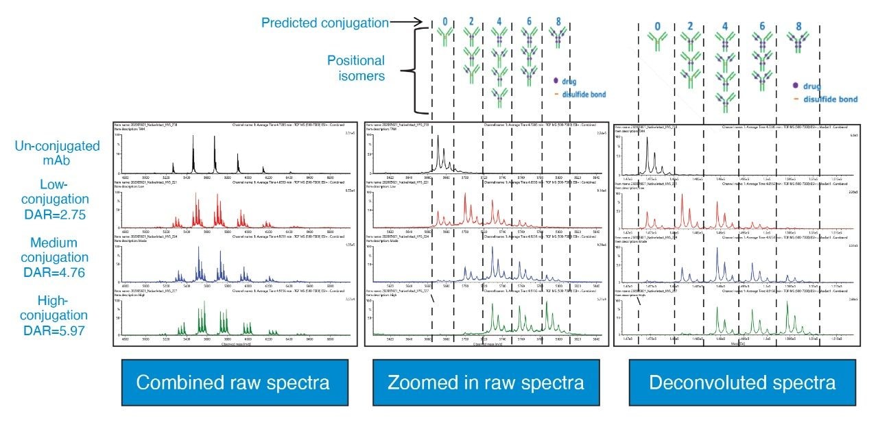 Spectra comparison for the reference material (naked mAb), as well as the low, medium and high conjugation level cysteine-conjugated ADC samples 