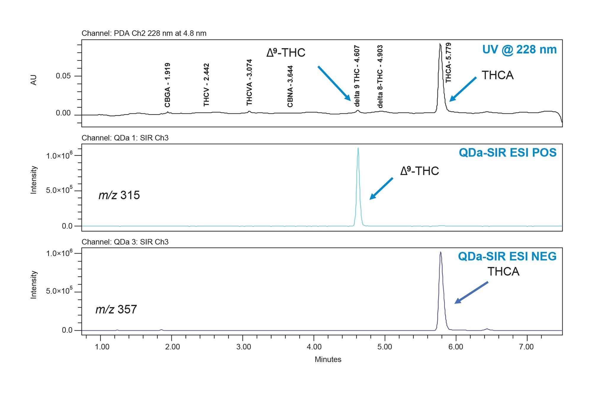 Chromatograms from the analysis of a high Δ 9-THC variety flower sample analyzed using UV at 228 nm and SIR of m/z 315 and m/z 357. MS analysis increases the confidence in the identification of Δ9-THC in the sample.