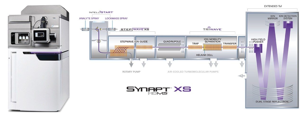 SYNAPT XS system and Schematic of the SYNAPT XS system