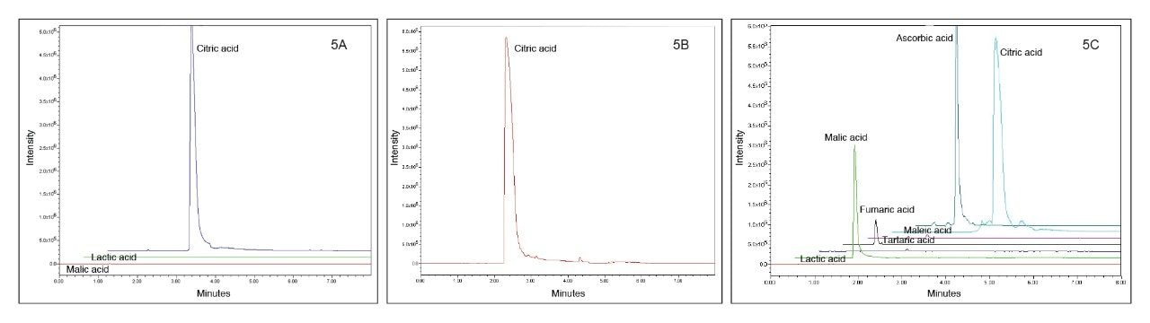 Organic acids detected in energy drink sample A (5A), sample B (5B), and sample C (5C).