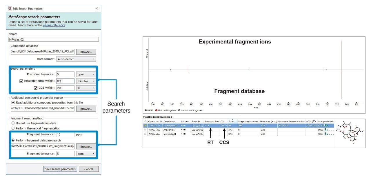 Setting up search parameters and performing search.