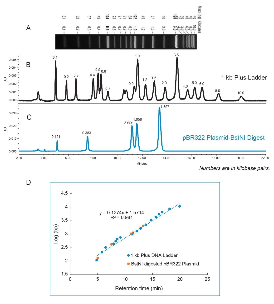 A) Agarose gel separation B) Anion-exchange separation of 1 kb Plus DNA Ladder C) Anion-exchange separation of DNA fragments D) A plot of log(bp) versus retention time of dsDNA fragments.