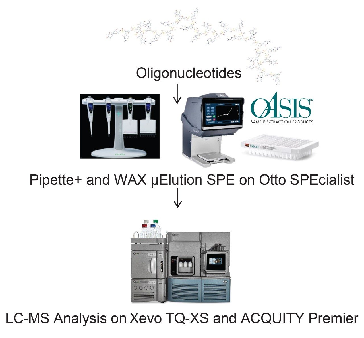 Bioanalytical sample preparation and LC-MS workflow of a GalNAc-siRNA conjugate oligonucleotide.