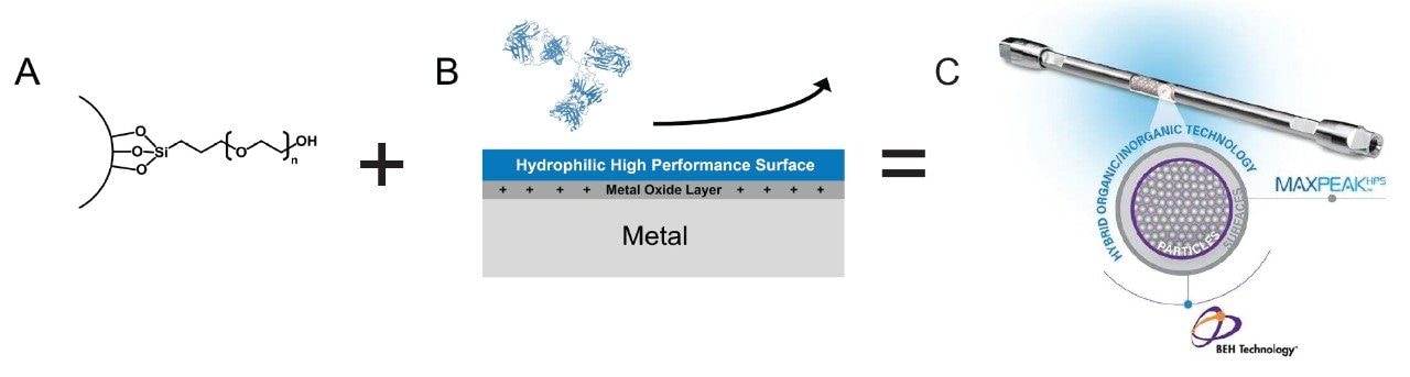 Use of MaxPeak Premier Protein SEC 250 Å Column Technology to Reduce Undesired Secondary Interactions