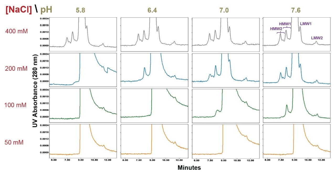  Rituximab drug product SEC separations using a BioResolve SEC mAb column (200Å, 2.5µm, 7.8 X 300 mm) are shown for pH values ranging from 5.8 to 7.6 (20 mM sodium phosphate) and sodium chloride (NaCl) concentrations ranging from 50 mM to 400 mM.