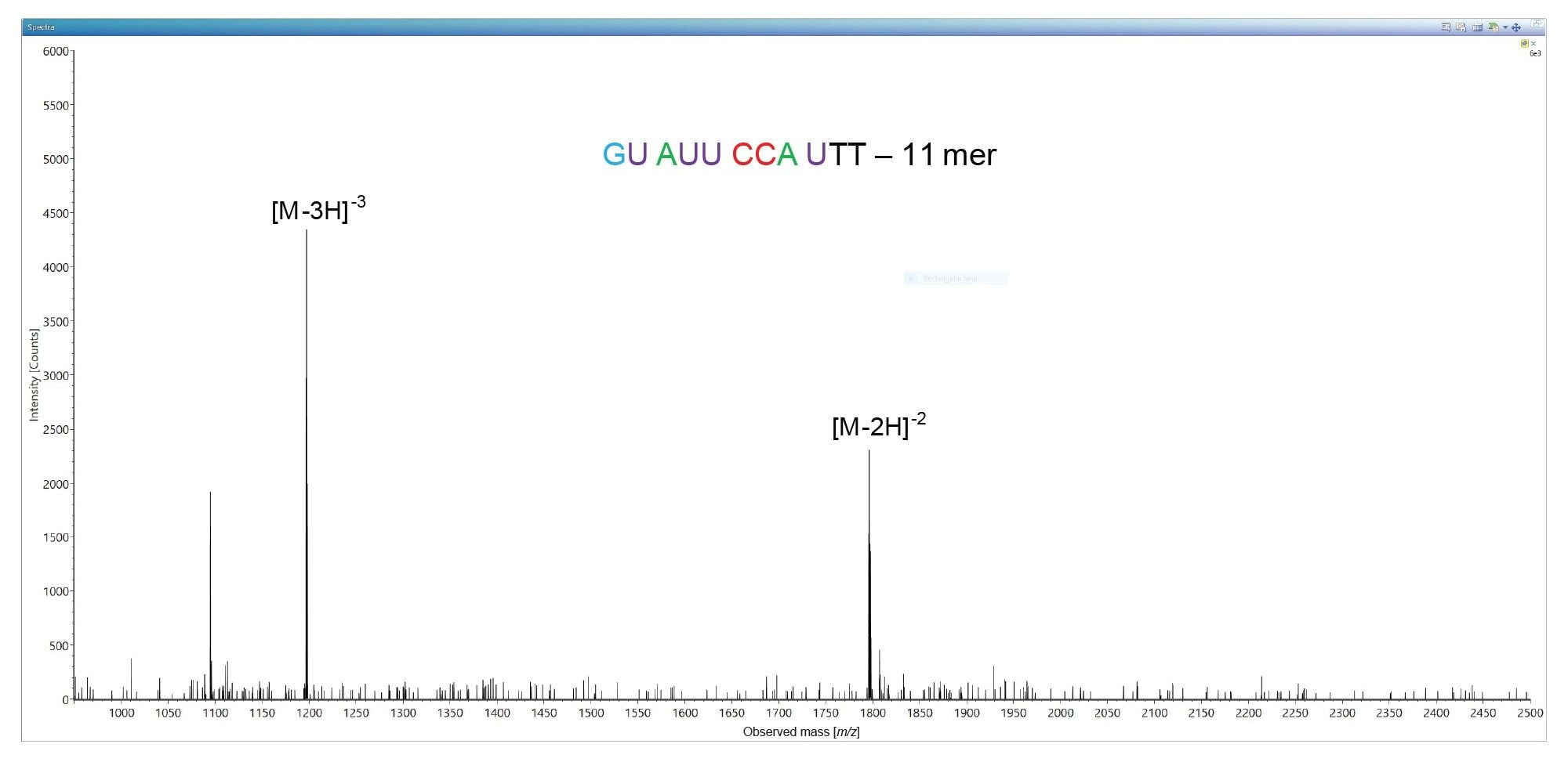  Ion pairing reversed phase ESI-MS spectrum of an 11-mer oligonucleotide impurity which is the least abundant impurity present in the 21-mer oligonucleotide sample (0.2% relative abundance, labeled as peak 1 in the chromatogram shown in Figure 1).