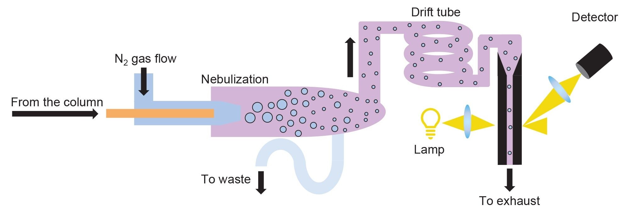 Overview of mechanism for ELS detection