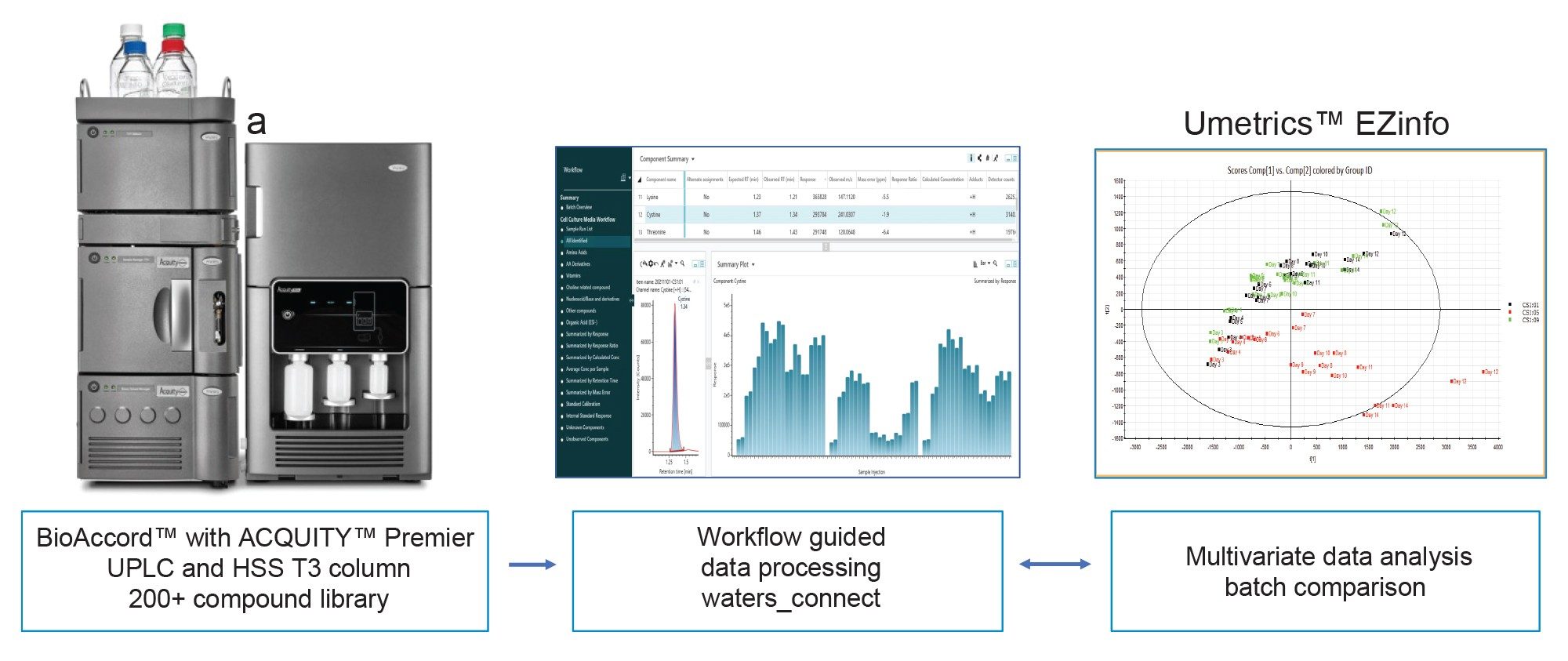 A schematic illustration of BioAccord System/waters_connect™ based workflow for cell culture media analysis